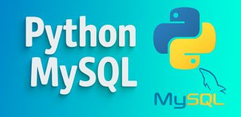 Python MySQL